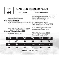 GNERER REMEDY 9303