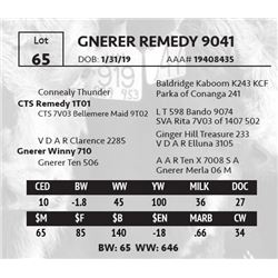 GNERER REMEDY 9041