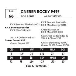 GNERER ROCKY 9497