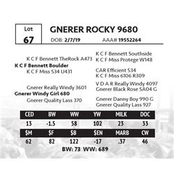 GNERER ROCKY 9680