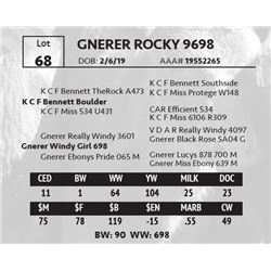 GNERER ROCKY 9698