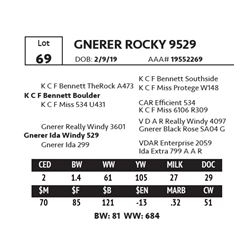 GNERER ROCKY 9529