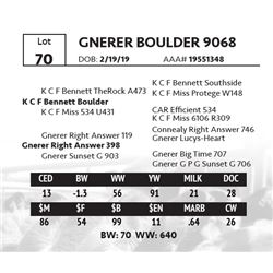 GNERER BOULDER 9068