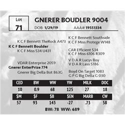 GNERER BOUDLER 9004