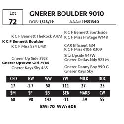 GNERER BOULDER 9010