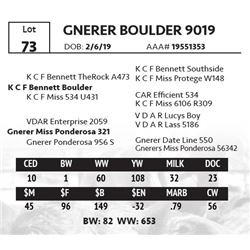 GNERER BOULDER 9019