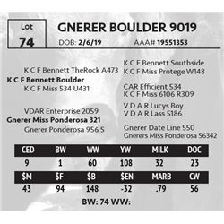 GNERER BOULDER 9019