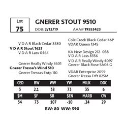 GNERER STOUT 9510