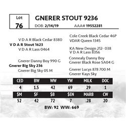 GNERER STOUT 9236