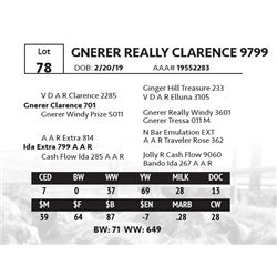 GNERER REALLY CLARENCE 9799