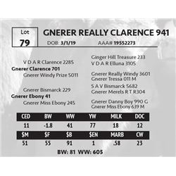 GNERER REALLY CLARENCE 941