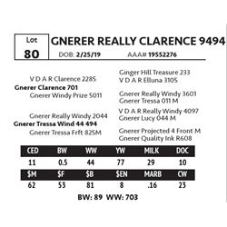 GNERER REALLY CLARENCE 9494