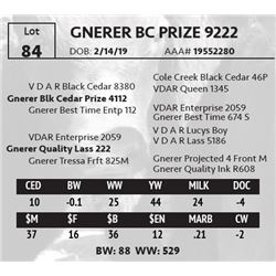 GNERER BC PRIZE 9222