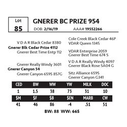 GNERER BC PRIZE 954