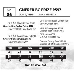 GNERER BC PRIZE 9597