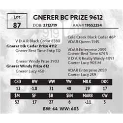 GNERER BC PRIZE 9612