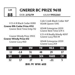 GNERER BC PRIZE 9618