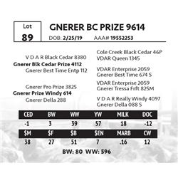 GNERER BC PRIZE 9614