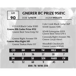 GNERER BC PRIZE 9581C