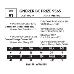 GNERER BC PRIZE 9565