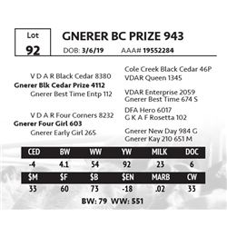 GNERER BC PRIZE 943