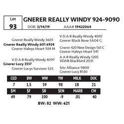 GNERER REALLY WINDY 924-9090