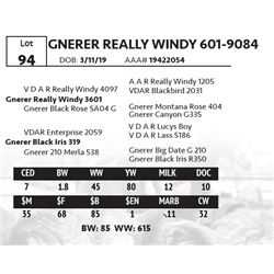 GNERER REALLY WINDY 601-9084