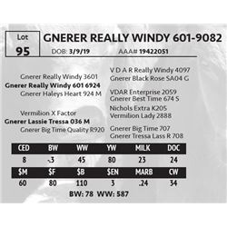 GNERER REALLY WINDY 601-9082