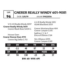 GNERER REALLY WINDY 601-9081