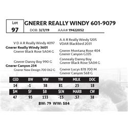 GNERER REALLY WINDY 601-9079