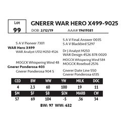 GNERER WAR HERO X499-9025