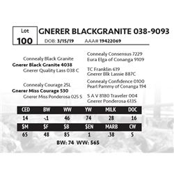 GNERER BLACKGRANITE 038-9093