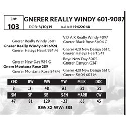 GNERER REALLY WINDY 601-9087