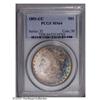 Image 1 : 1891-CC S$1 MS64 PCGS. Rich iridescent toning at the r 1891-CC[S$1] MS64 PCGS.