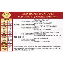 RED HOME RUN 9043