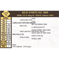 RED FORTUNE 908