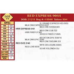 RED EXPRESS 9044