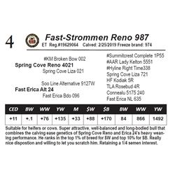 Fast-Strommen Reno 987