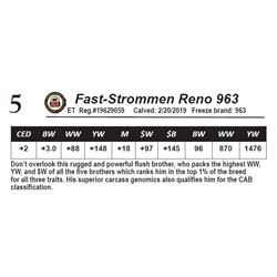Fast-Strommen Reno 963