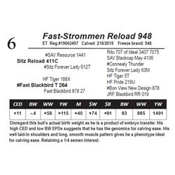 Fast-Strommen Reload 948
