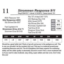 Strommen Response 911