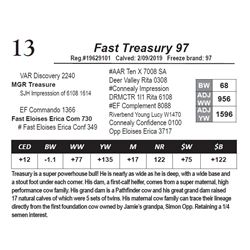 Fast Treasury 97