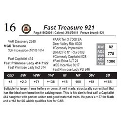 Fast Treasure 921