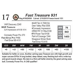 Fast Treasure 931