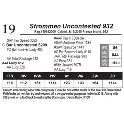 Strommen Uncontested 932