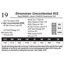 Strommen Uncontested 932