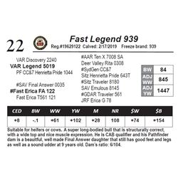 Fast Legend 939