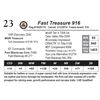 Image 1 : Fast Treasure 916