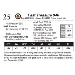 Fast Treasure 946