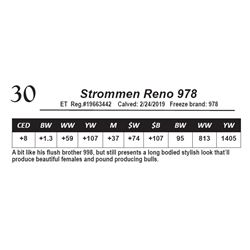 Strommen Reno 978